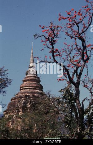 Die Spitze des Tilocarat Chedis im Tempelkomplex Wat Chet Yot in Chiang Mai. [Automatisierte Übersetzung] Stockfoto