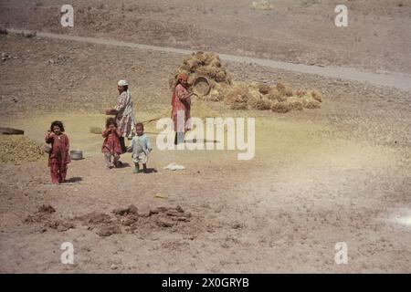 Drei Kinder stehen neben zwei Frauen, die Trennung von Korn und Spreu mit Sieb in Turkmanchai. Stockfoto