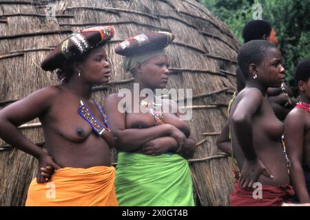Ehefrauen eines Zulu-Chefs mit Schmuck im Tal der tausend Hügel. [Automatisierte Übersetzung] Stockfoto