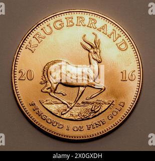 1 Unze Südafrikanischer Krugerrand Goldmünze (2016) - Hochauflösendes Makrofoto Stockfoto