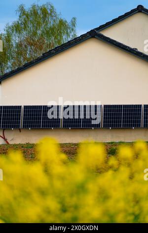 Solarpaneele an einer gut belichteten Wand eines einzelnen Hauses, Einsparungen nach der Energiekrise, Öko-Bürgergeste, grüne Energie Stockfoto