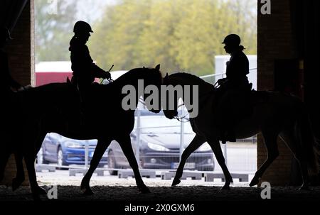 Schleswig-Holstein, Neumünster, Deutschland. 12. April 2024. Reiter reiten auf ihren Pferden in der Aufwärmarena auf der Nordpferd in den Holstenhallen. Die Messe für Pferde und Reitsport findet vom 12. Bis 14. April statt. Foto: Marcus Brandt/dpa/Alamy Live News Stockfoto