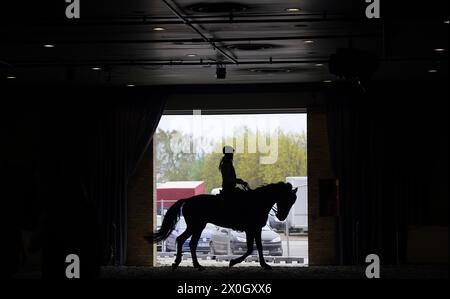 Schleswig-Holstein, Neumünster, Deutschland. 12. April 2024. Ein Reiter reitet auf einem Pferd in der Aufwärmhalle der Nordpferd in den Holstenhallen. Die Messe für Pferde und Reitsport findet vom 12. Bis 14. April statt. Foto: Marcus Brandt/dpa/Alamy Live News Stockfoto