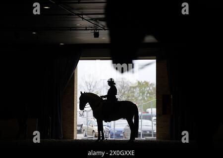 Schleswig-Holstein, Neumünster, Deutschland. 12. April 2024. Ein Reiter reitet auf einem Pferd in der Aufwärmhalle der Nordpferd in den Holstenhallen. Die Messe für Pferde und Reitsport findet vom 12. Bis 14. April statt. Foto: Marcus Brandt/dpa/Alamy Live News Stockfoto