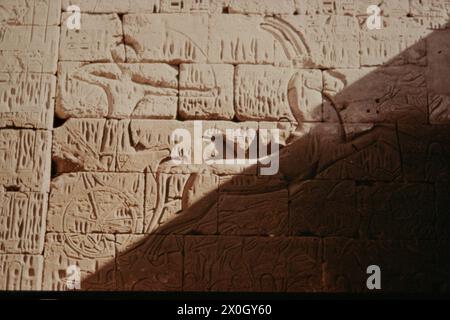 Erleichterung eines Kriegers auf einem Wagen an einer Wand des Leichentempels von Ramses III. In der Ausgrabungsstätte Medinet Habu in Theben. [Automatisierte Übersetzung] Stockfoto