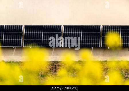 Solarpaneele an einer gut belichteten Wand eines einzelnen Hauses, Einsparungen nach der Energiekrise, Öko-Bürgergeste, grüne Energie Stockfoto