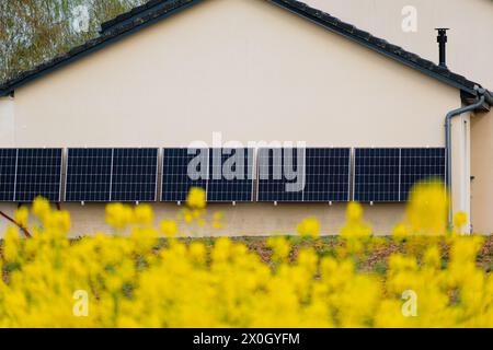 Solarpaneele an einer gut belichteten Wand eines einzelnen Hauses, Einsparungen nach der Energiekrise, Öko-Bürgergeste, grüne Energie Stockfoto