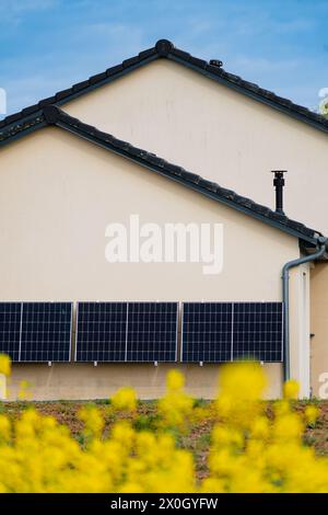 Solarpaneele an einer gut belichteten Wand eines einzelnen Hauses, Einsparungen nach der Energiekrise, Öko-Bürgergeste, grüne Energie Stockfoto