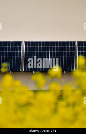 Solarpaneele an einer gut belichteten Wand eines einzelnen Hauses, Einsparungen nach der Energiekrise, Öko-Bürgergeste, grüne Energie Stockfoto