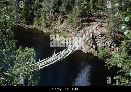 Hängebrücke über eine Schlucht in Finnland. Stockfoto