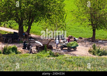 Ländliche Bauernszene mit Bauern und Esel und Wagen auf einer Rodung mit Wasserpumpen. Im Schatten der Bäume. Ägypten Stockfoto
