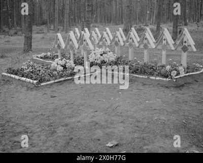 Die Gräber von 21 gefallenen Wehrmachtssoldaten an der Ostfront. Das Bild wurde von einem Mitglied des Radfahrgrenadierregiments 2/Radfahrsicherungsregiment 2, im Mittelteil der Ostfront aufgenommen. Das Datum 26.06.1941 ist auf einem Grabkreuz zu sehen. [Automatisierte Übersetzung] Stockfoto