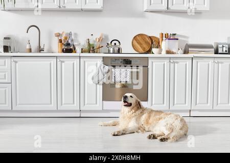 Ein friedlicher Labrador-Hund liegt bequem auf dem Küchenboden und sonnt sich in der Wärme des Zimmers. Stockfoto