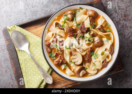 Stroganoff-Suppe wird mit Rindfleisch, Pilzen und Nudeln in einer duftenden cremigen Brühe in einer Schüssel auf dem Tisch zubereitet. Horizontale Draufsicht von abo Stockfoto