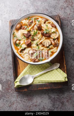 Die cremige Stroganoff-Suppe aus Rindfleisch, Pilzen und Nudeln wird in einer besonders leckeren Brühe in einer Schüssel auf dem Tisch zubereitet. Vertikal oben Stockfoto