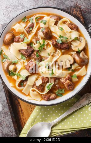 Stroganoff-Suppe mit sautiertem Rindfleisch und Zwiebeln in einer cremigen braunen Soße, zubereitet mit kondensierter Creme und Pilz-Nahaufnahme in einer Schüssel auf dem Tisch. Vertikal Stockfoto