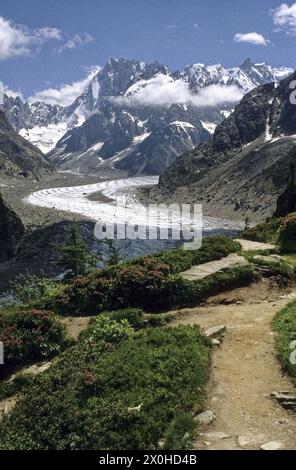 Wanderweg nach Montenvers. Alpenrosen blühen im Vordergrund, der Gletscher Mer de Glace in der Bildmitte und die Berge des Mont Blanc-Massivs im Hintergrund. [Automatisierte Übersetzung] Stockfoto