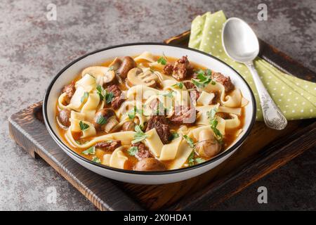 Stroganoff-Suppe wird mit Rindfleisch, Pilzen und Nudeln in einer duftenden cremigen Brühe in einer Schüssel auf dem Tisch zubereitet. Horizontal Stockfoto