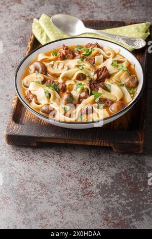 Die cremige Stroganoff-Suppe aus Rindfleisch, Pilzen und Nudeln wird in einer besonders leckeren Brühe in einer Schüssel auf dem Tisch zubereitet. Vertikal Stockfoto