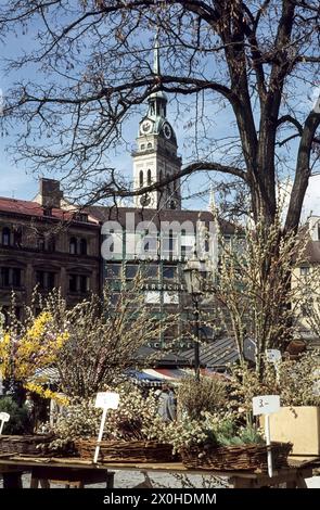 Verkauf von Osterbouquets am Viktualienmarkt. Im Hintergrund sieht man den alten Peter. [Automatisierte Übersetzung] Stockfoto