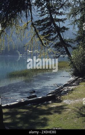 Das Hotel Seehaus spiegelt sich im ruhigen Wasser des Sees wider. [Automatisierte Übersetzung] Stockfoto