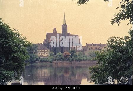 Blick vom oder-Ufer über die oder auf die Dominsel und die Stiftskirche Heilig Kreuz und St. Bartholomäus. [Automatisierte Übersetzung] Stockfoto