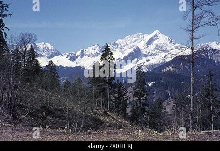 Blick auf die schneebedeckte Alpspitze von einem Wanderweg auf den Eckbauern Stockfoto