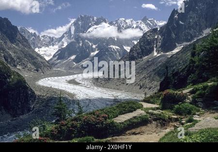 Alpenrosen blühen entlang des Weges davor, der Gletscher Mer de Glace in der Mitte des Bildes und die Berge des Mont Blanc Massivs dahinter. [Automatisierte Übersetzung] Stockfoto