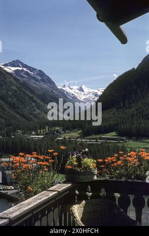 Blick auf das Val Roseg und die Bernina-Gruppe von einem blumengeschmückten Balkon in Pontresina [automatisierte Übersetzung] Stockfoto