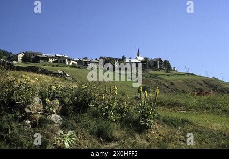 Ansicht des Dorfes Guarda von unten, Mauleinblumen ( Verbascum) im Vordergrund [automatisierte Übersetzung] Stockfoto