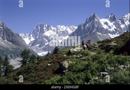 Wanderer auf dem Wanderweg. Im Vordergrund rot blühende Alpenrosen, im Hintergrund die Berge des Mont Blanc-Massivs. [Automatisierte Übersetzung] Stockfoto