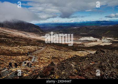 Wanderer entlang des Tongariro Alpine Crossing Trail, Tongariro National Park, Nordinsel, Neuseeland Stockfoto