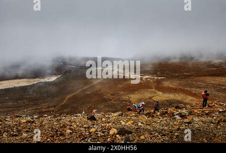 Wanderer entlang des Tongariro Alpine Crossing Trail, Tongariro National Park, Nordinsel, Neuseeland Stockfoto