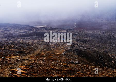 Wanderer entlang des Tongariro Alpine Crossing Trail, Tongariro National Park, Nordinsel, Neuseeland Stockfoto