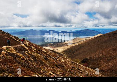 Wanderer entlang des Tongariro Alpine Crossing Trail, Tongariro National Park, Nordinsel, Neuseeland Stockfoto