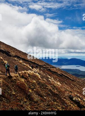 Wanderer entlang des Tongariro Alpine Crossing Trail, Tongariro National Park, Nordinsel, Neuseeland Stockfoto