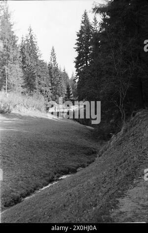 Ohne Wörter [automatisierte Übersetzung] Stockfoto