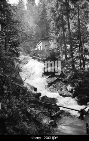 Die 7 Wasserfälle der Gutach sind zusammen über 160 m hoch und gehören damit zu den höchsten Wasserfällen Deutschlands [automatisierte Übersetzung] Stockfoto