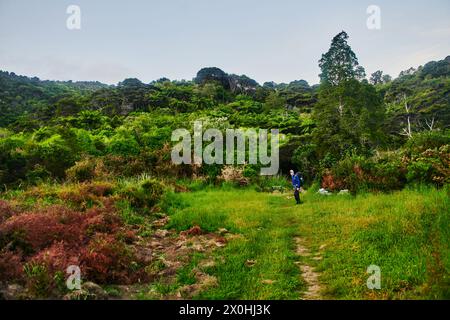 Wanderer genießen den Pfad und die Waldlandschaft entlang der Küstenstraße des Abel Tasman National Park, South Island, Neuseeland Stockfoto