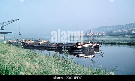 Im Hintergrund Kleinochsenfurt [automatisierte Übersetzung] Stockfoto