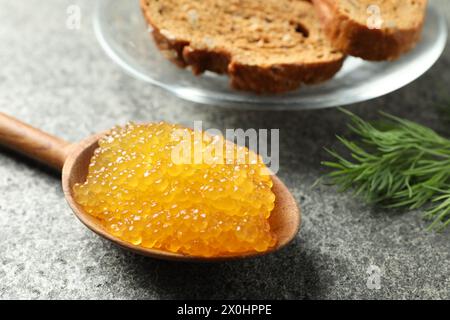 Frischer Hechtkaviar in Löffel, Dill und Brot auf grauem Tisch, Nahaufnahme Stockfoto