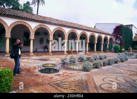 Hof. Viana-Palast, Córdoba, Andalusien, Spanien. Stockfoto