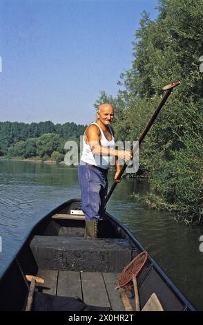 Alter Fischer am Main [automatisierte Übersetzung] Stockfoto
