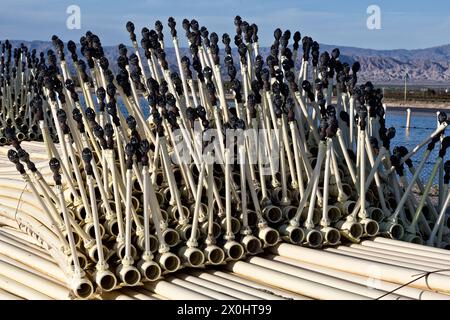 Bewässerungssprinkler mit Sprinklerköpfen, die auf den Anbau von Feldfrüchten warten, Riverside County, Kalifornien. Stockfoto