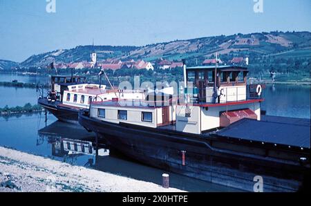 Im Hintergrund Kleinochsenfurt [automatisierte Übersetzung] Stockfoto