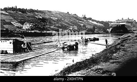 Festung Marienberg - Floß im Mai [automatisierte Übersetzung] Stockfoto