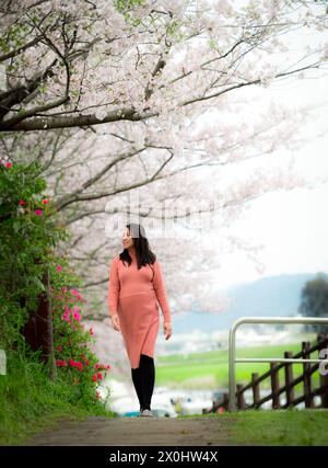 Eine glückliche schwangere Frau, die im Frühjahr unter den Kirschblüten oder Sakura-Bäumen spaziert. Stockfoto