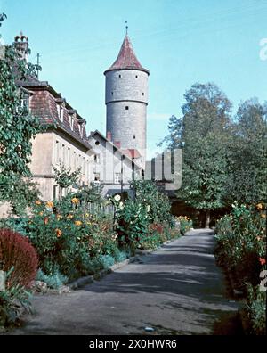 Cent Tower aus dem Kindergarten [automatisierte Übersetzung] Stockfoto