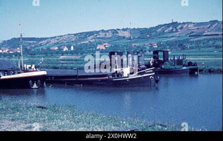 Ochsenfurt - Schiffe/Main [automatisierte Übersetzung] Stockfoto