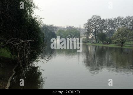 Blick auf den Buckingham Palace von St. James Park. [Automatisierte Übersetzung] Stockfoto